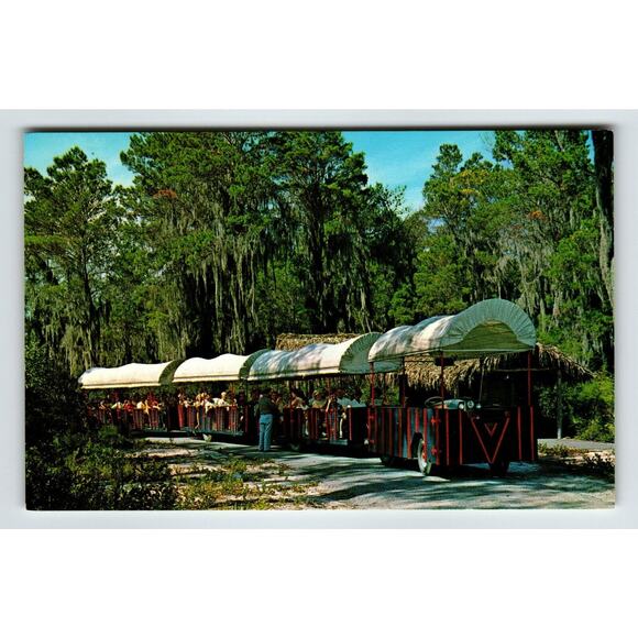 Weeki Wachee Mermaids Florida Chrome Postcard Covered Wagon Train Retro Unused - Picture 2 of 3